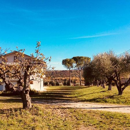 Гостевой дом Le Terre D'Abruzzo Alanno Экстерьер фото