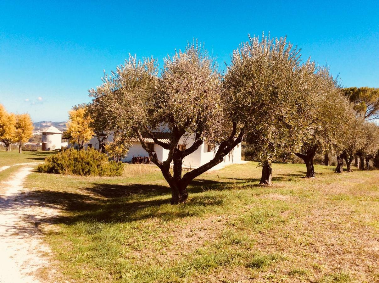 Гостевой дом Le Terre D'Abruzzo Alanno Экстерьер фото